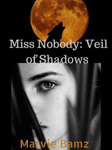 Miss Nobody: The Veiled Shadows