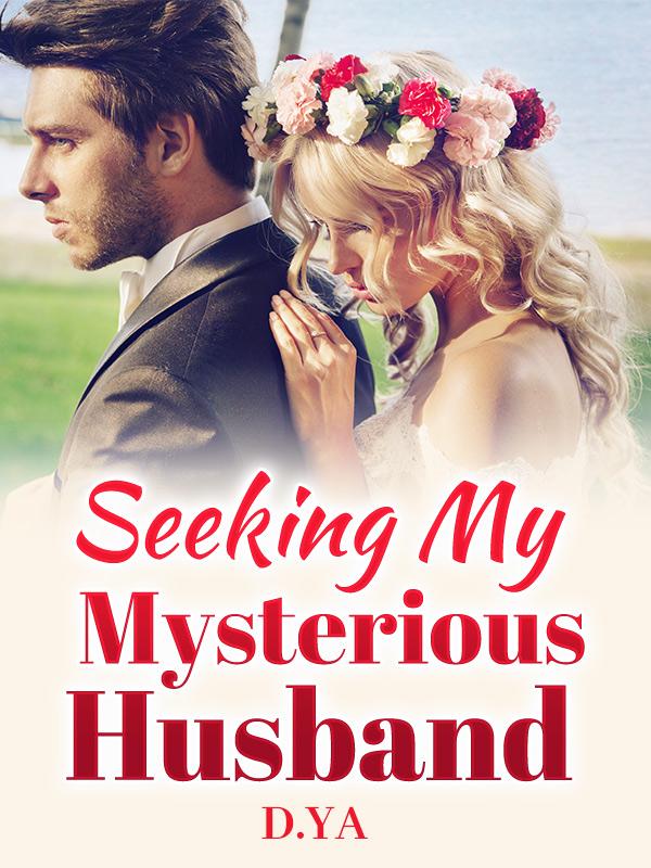 Seeking My Mysterious Husband