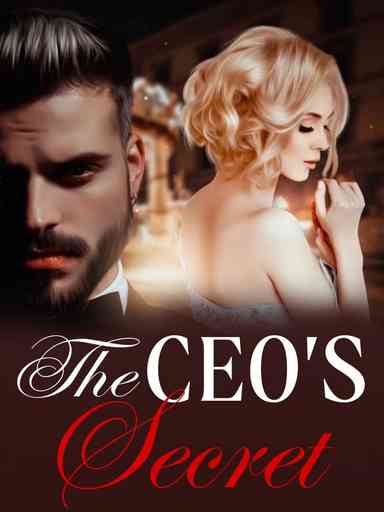 The CEO's Secrets