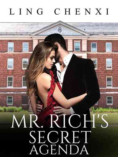 Mr Rich's Secret Agenda