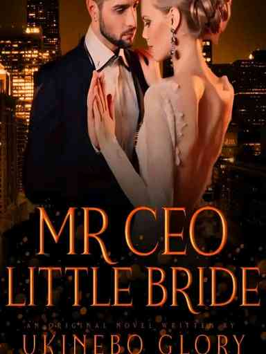 Mr CEO's Little Bride