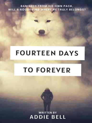 Fourteen Days To Forever