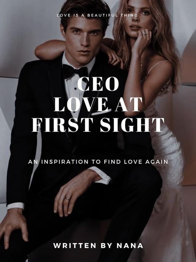 The CEO: Love At First Sight