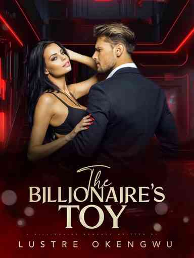 The Billionaire's Toy