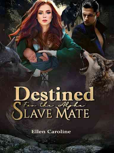 Destined For The Alpha: Slave Mate
